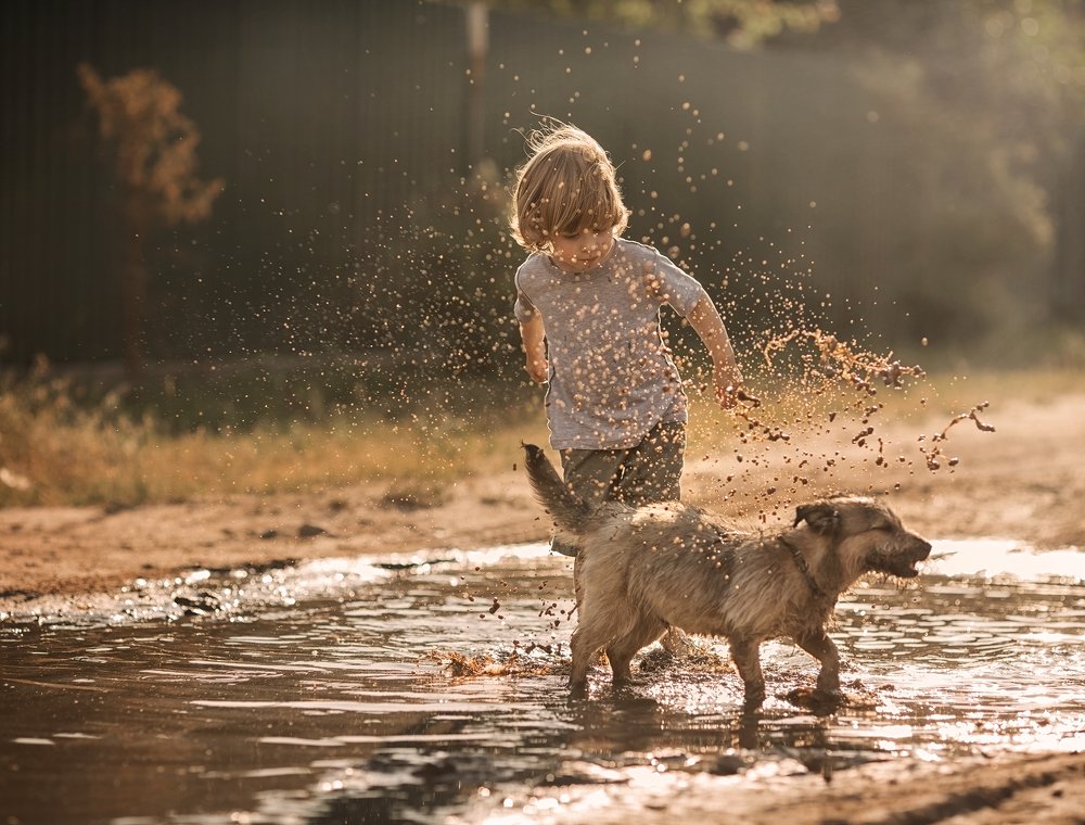 Photograph by Русецкая Татьяна