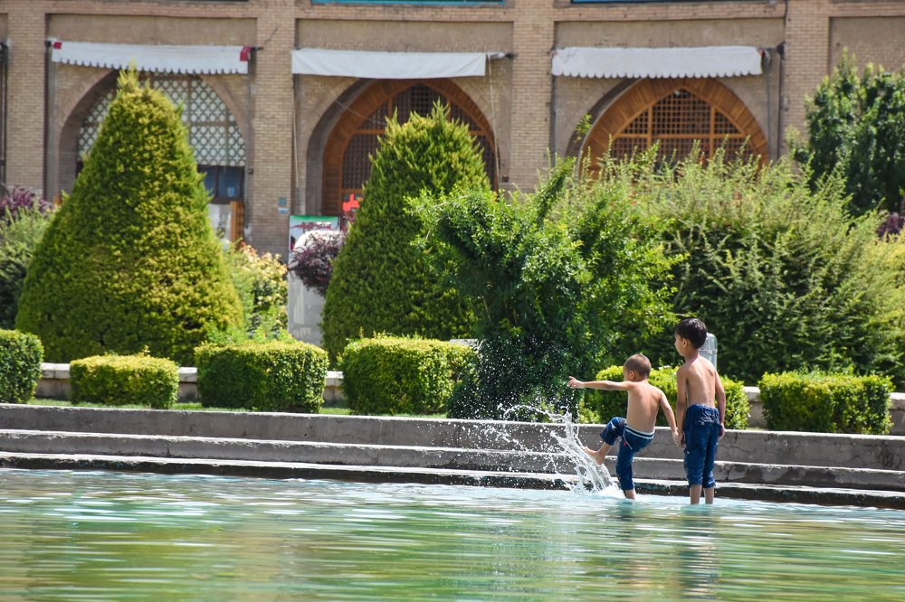 Фотография автора Mohsen Tavakoli