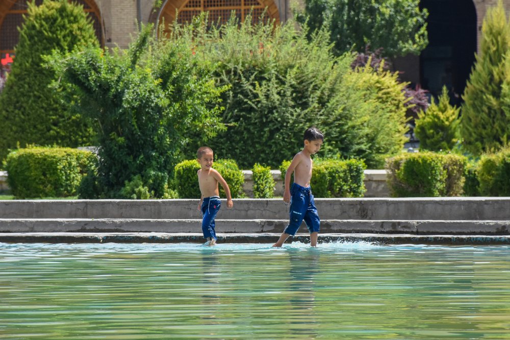 Фотография автора Mohsen Tavakoli