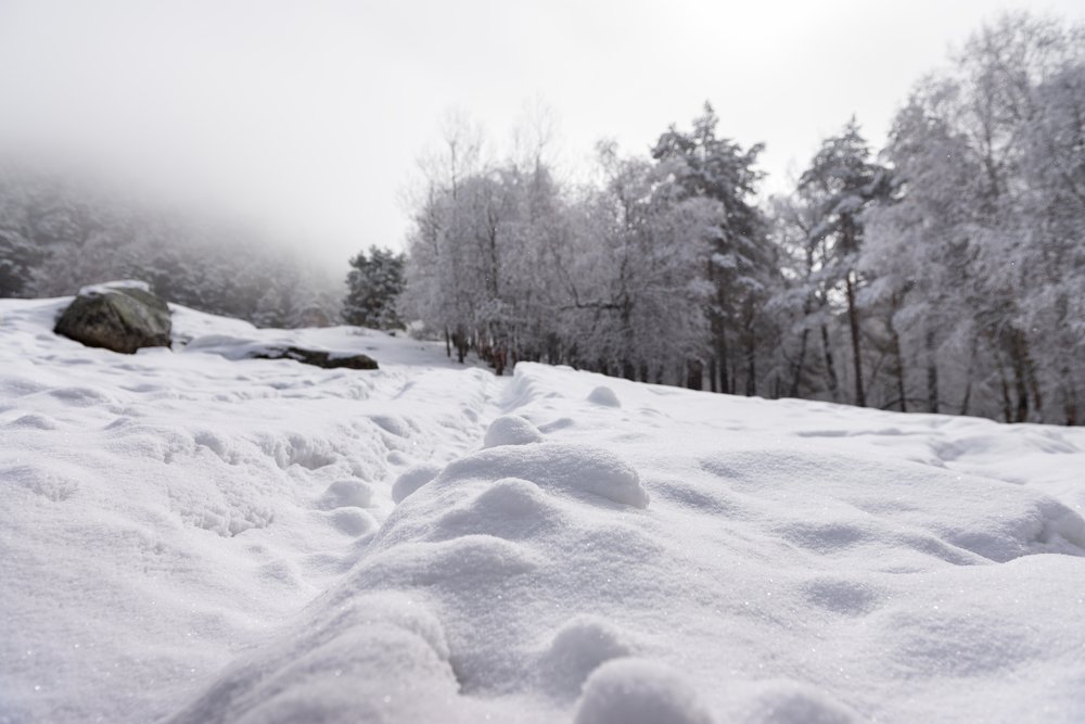 Photograph by bornaum