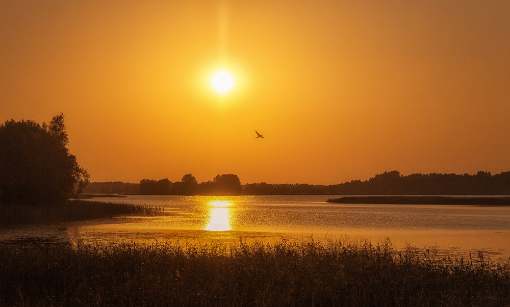И ласточки стремительный полет...