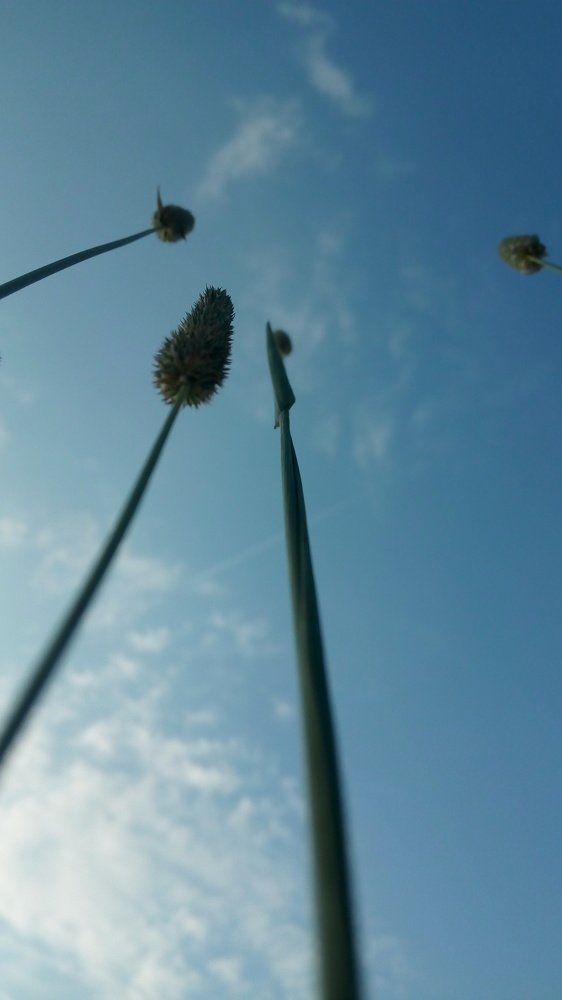 Photograph by Олеся Петрова