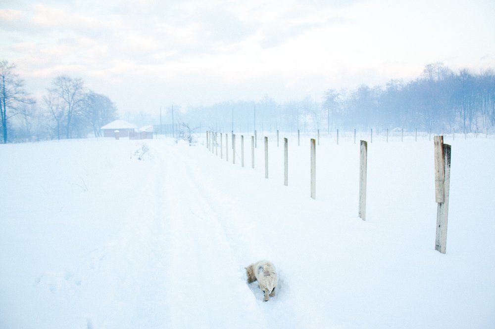 Photograph by Jana Vukomanovic