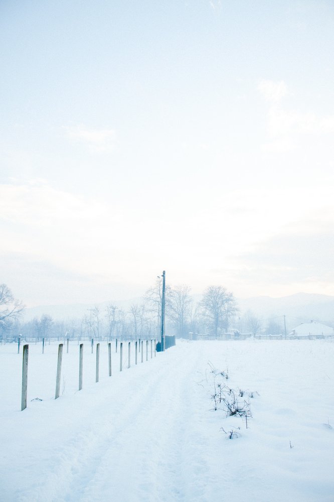 Photograph by Jana Vukomanovic