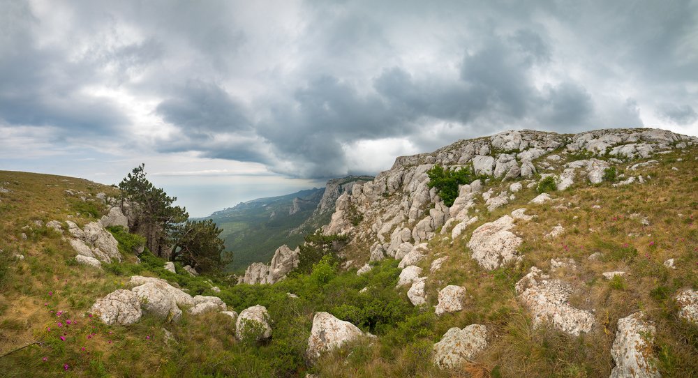 Photograph by bornaum