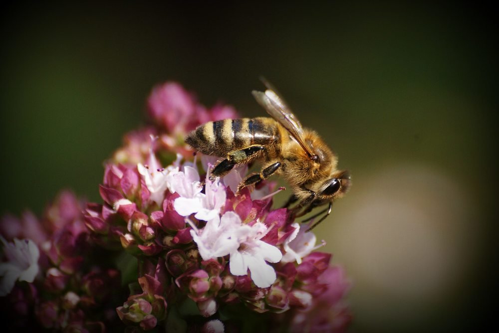 Photograph by Magdalena Wysztygiel