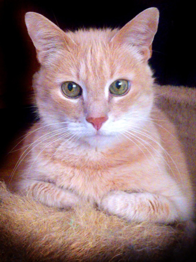 Photograph by Андрей Рогачев