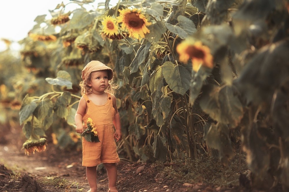 Little girl with sunflower