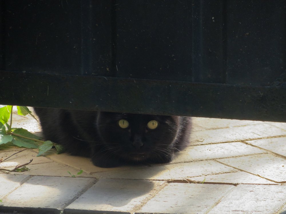 Photograph by Марина Осипова