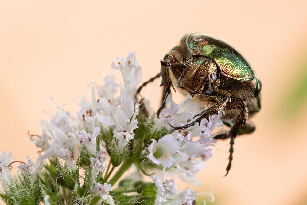 Photograph by Markus Bieck