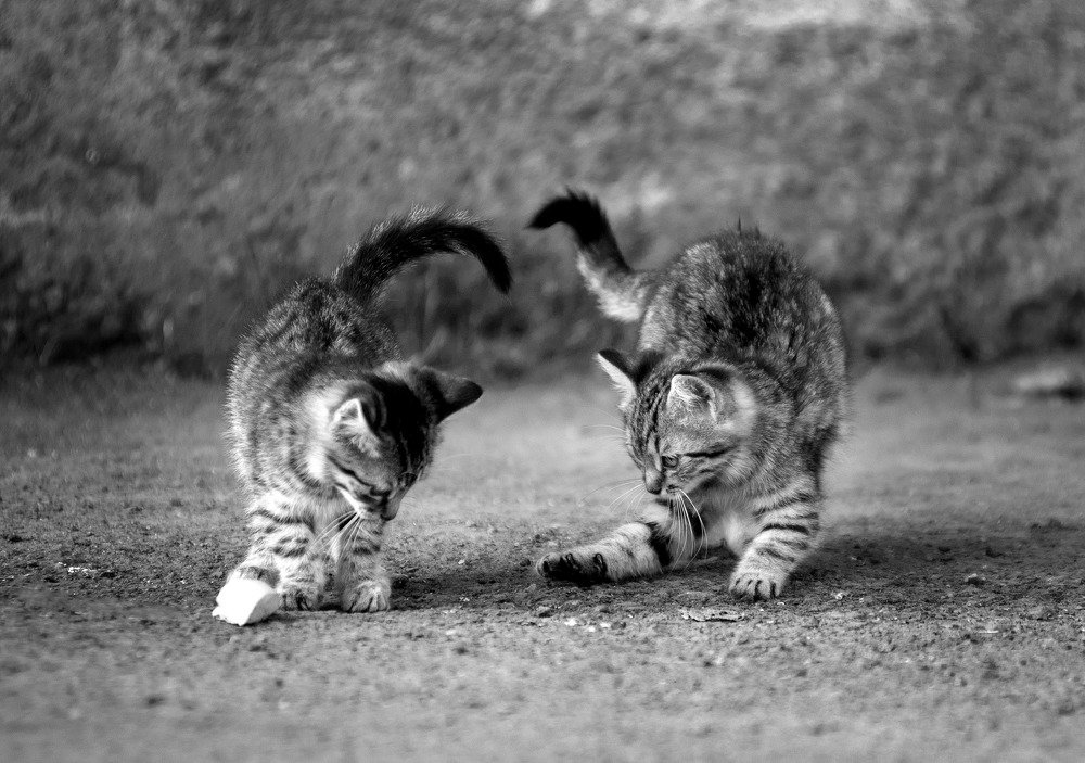 Photograph by Виктория Денисенко