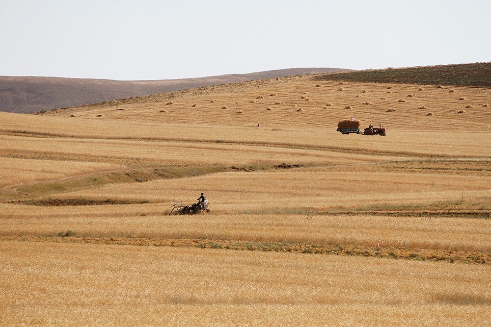 Photograph by  ali asghar yousefi