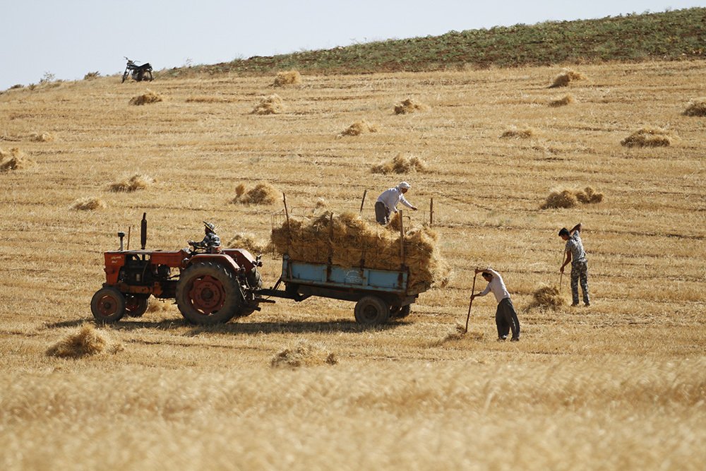 Photograph by  ali asghar yousefi