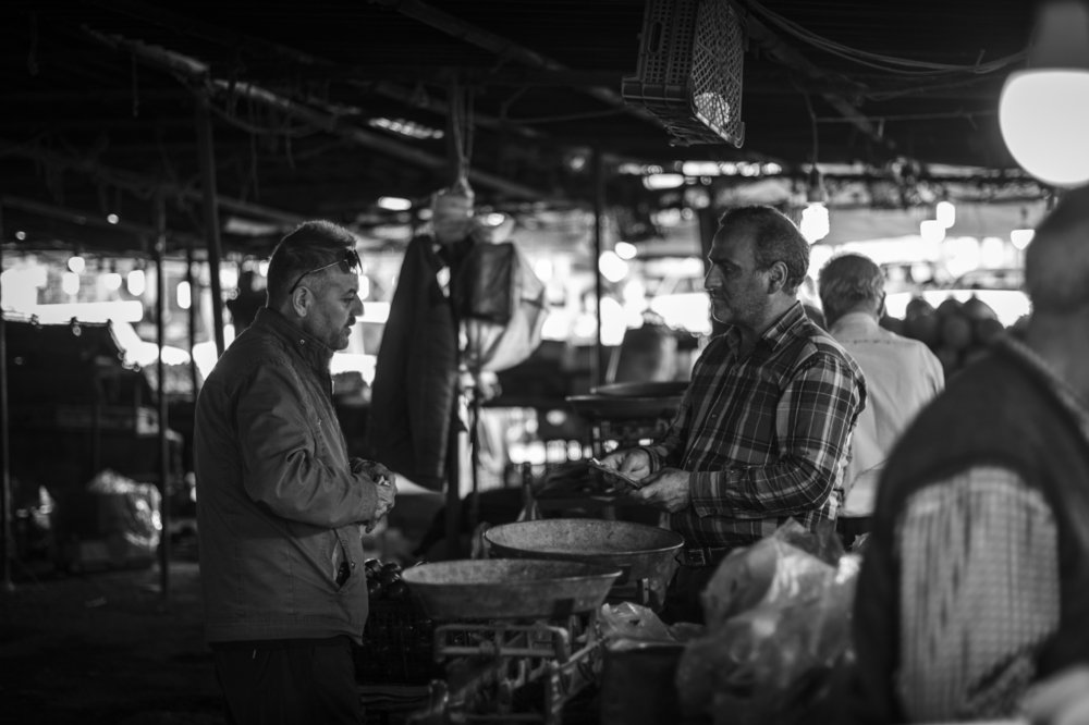 Фотография автора Milad Mohammadi