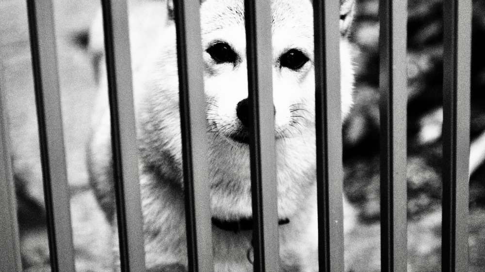 Photograph by Inoue Tomohiro