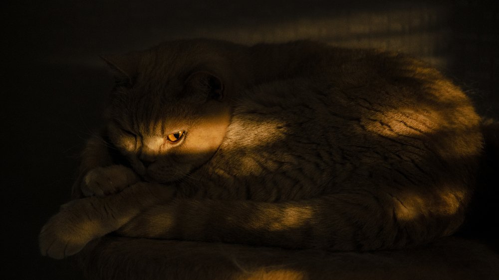 Photograph by Дмитрий Баш