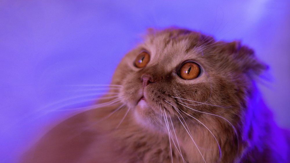 Photograph by Дмитрий Баш