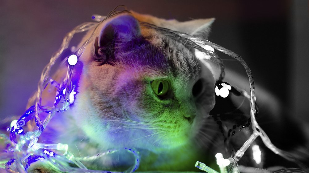 Photograph by Дмитрий Баш