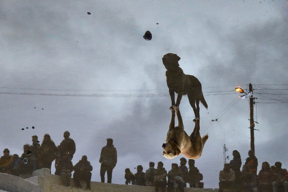 Photograph by nicolas