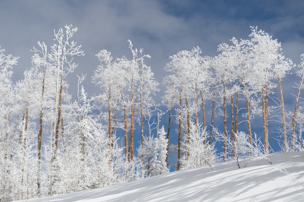 Photograph by Daria Osipova