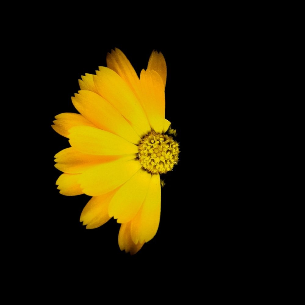 Фотография автора Mohib Ali