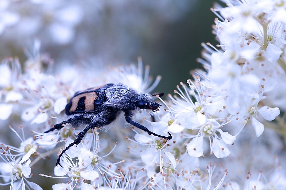 Да это просто праздник какой-то!...