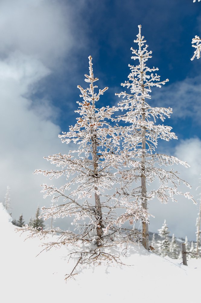 Photograph by Daria Osipova