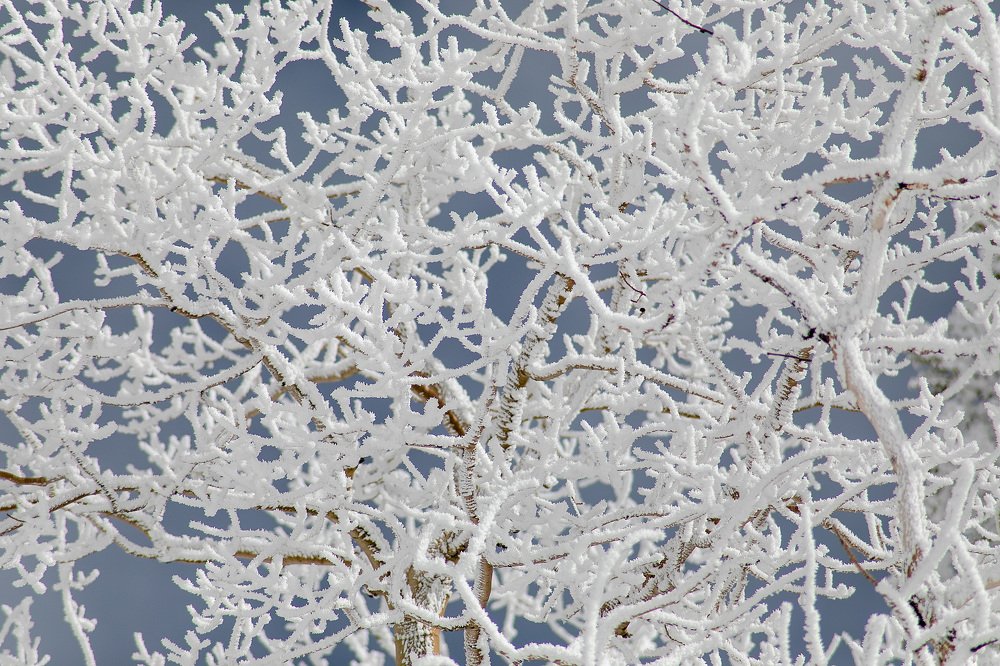 Photograph by Daria Osipova