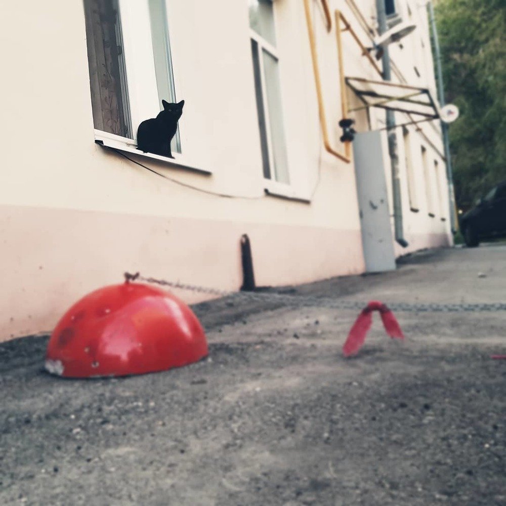 Photograph by Елена Руснак