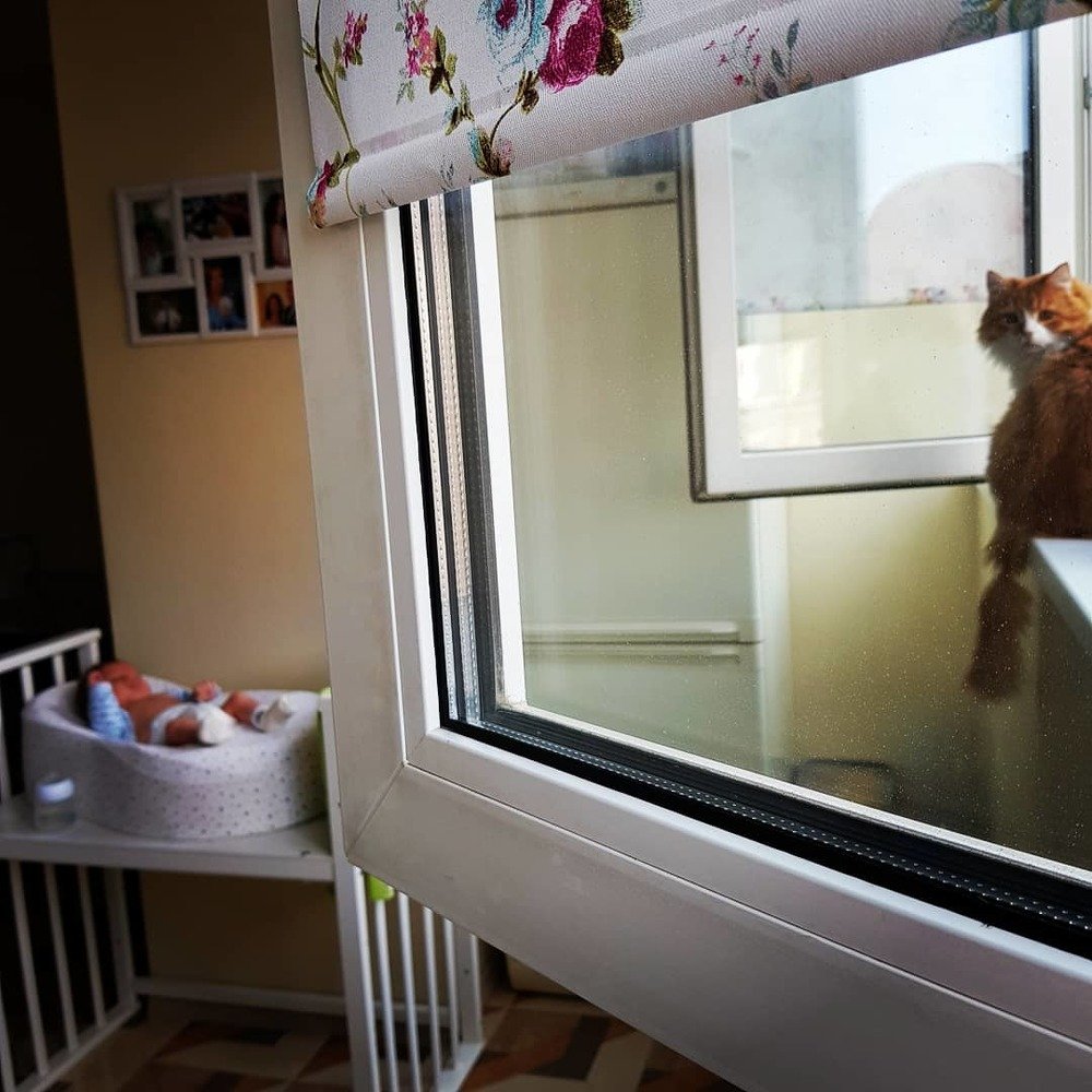 Photograph by Елена Руснак