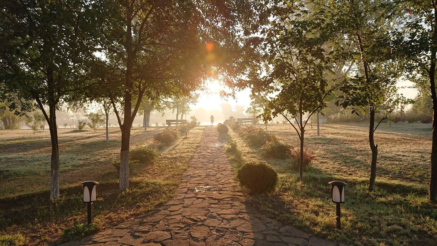 В рассветных лучах.