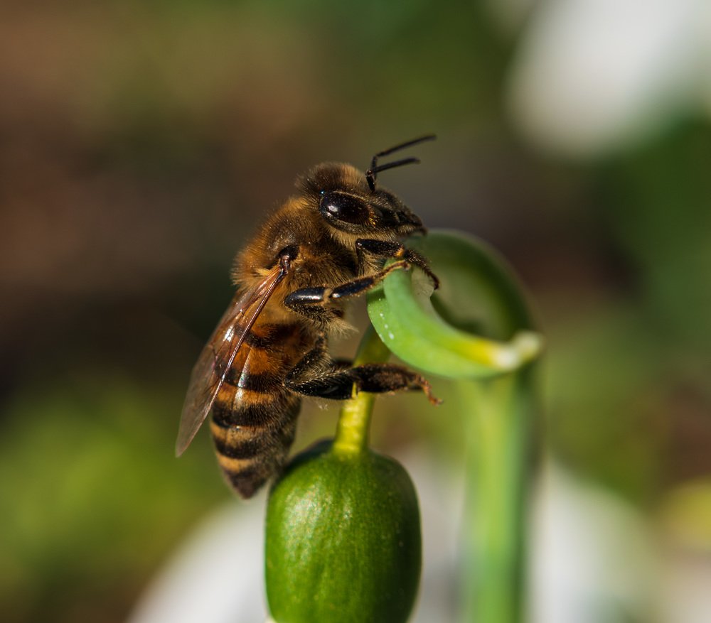 Photograph by Anna Doncila