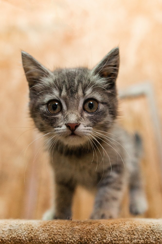 Photograph by Мария Кузьмина