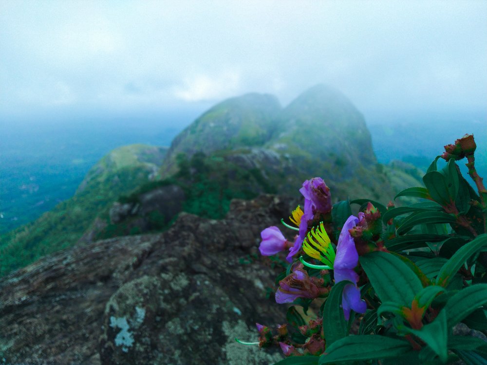 Photograph by Harisankar B