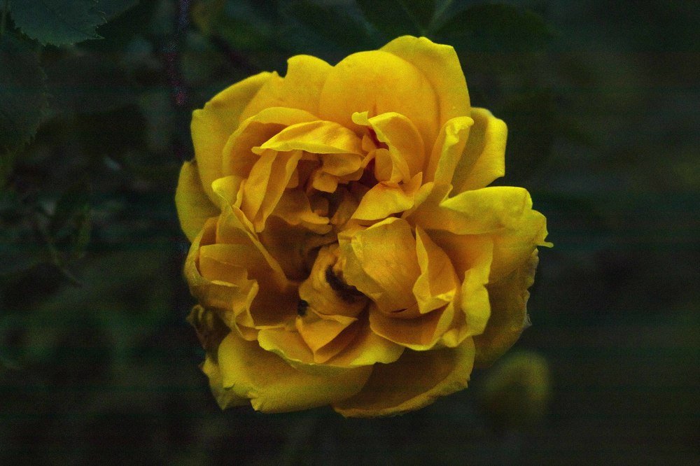 Photograph by миша