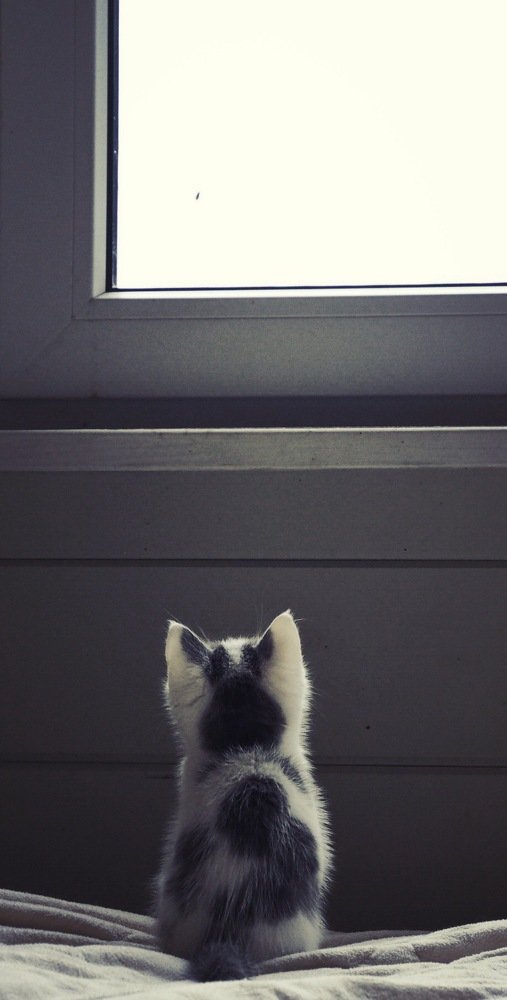 Photograph by Тамара Мартынова