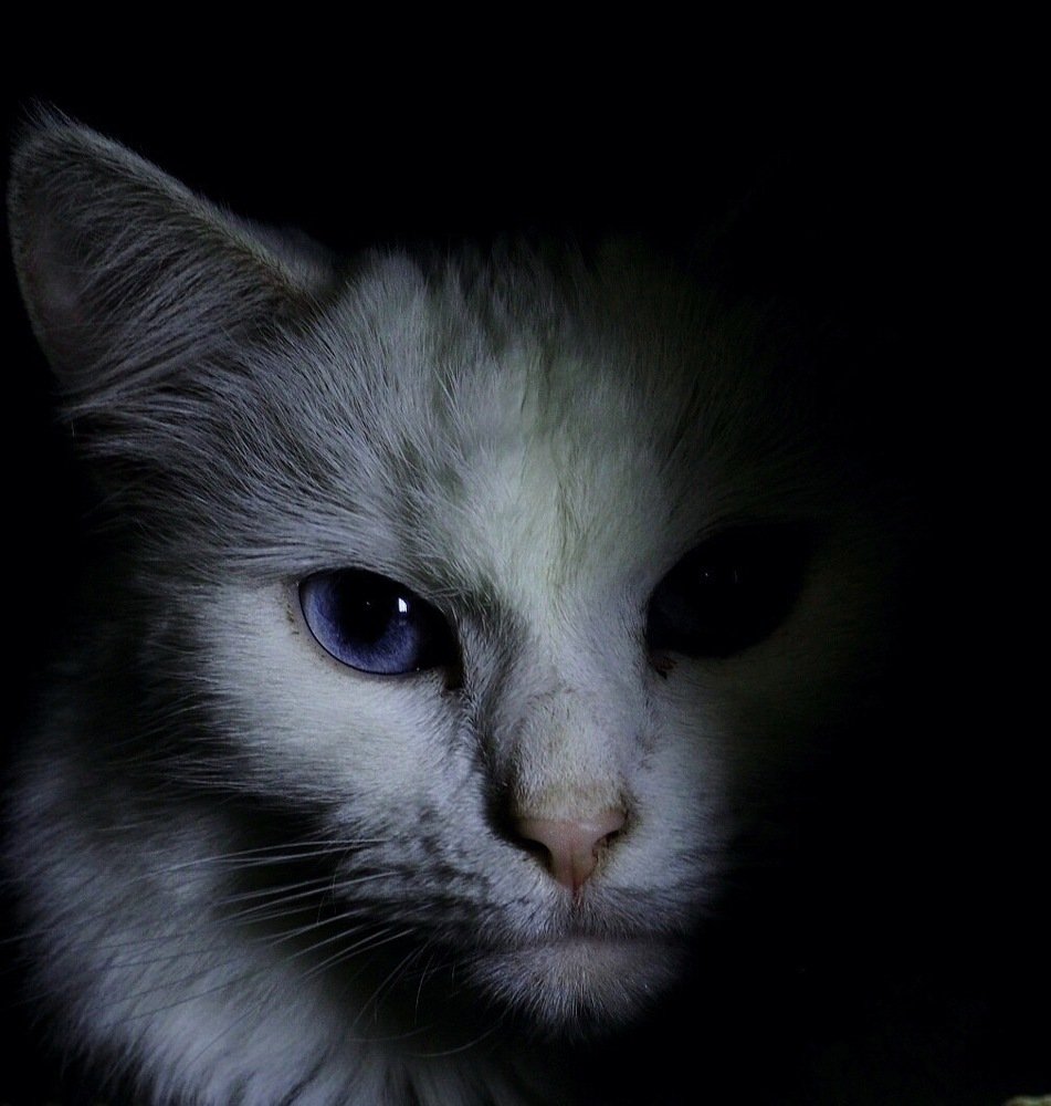 Photograph by Тамара Мартынова