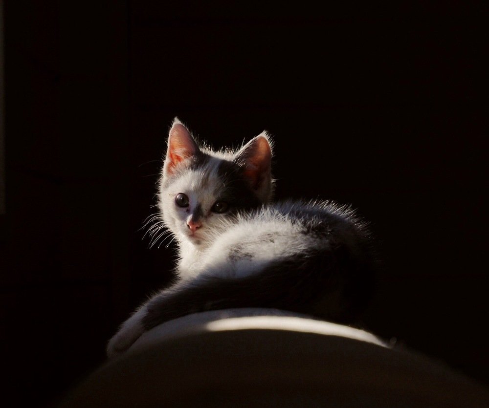 Photograph by Тамара Мартынова