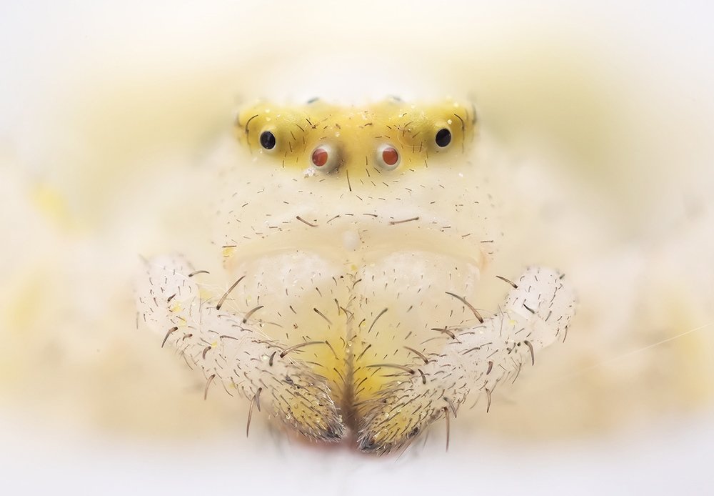 Photograph by Валерия Зверева