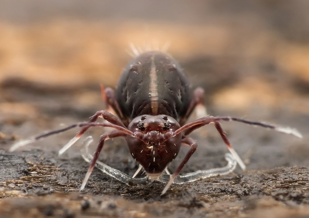 Photograph by Валерия Зверева