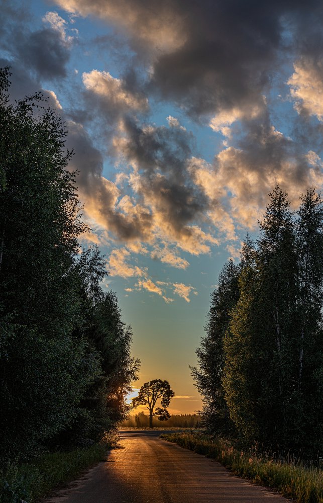 Photograph by Сергей Метелица