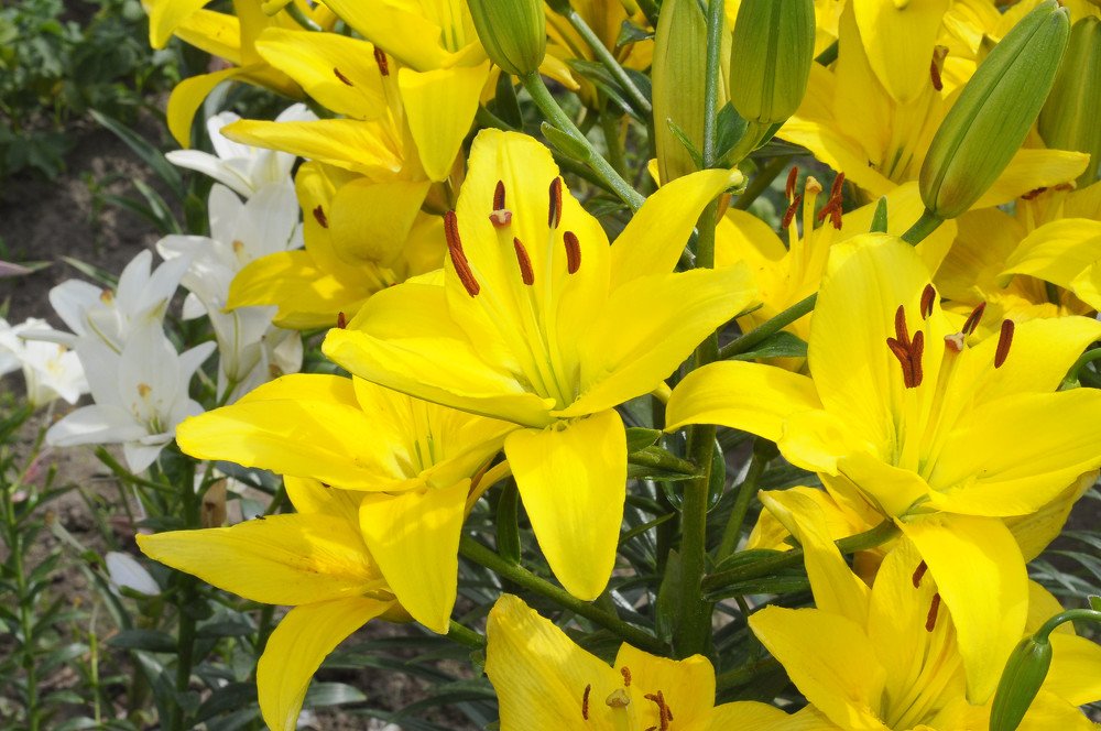 Photograph by Юрий Бичеров