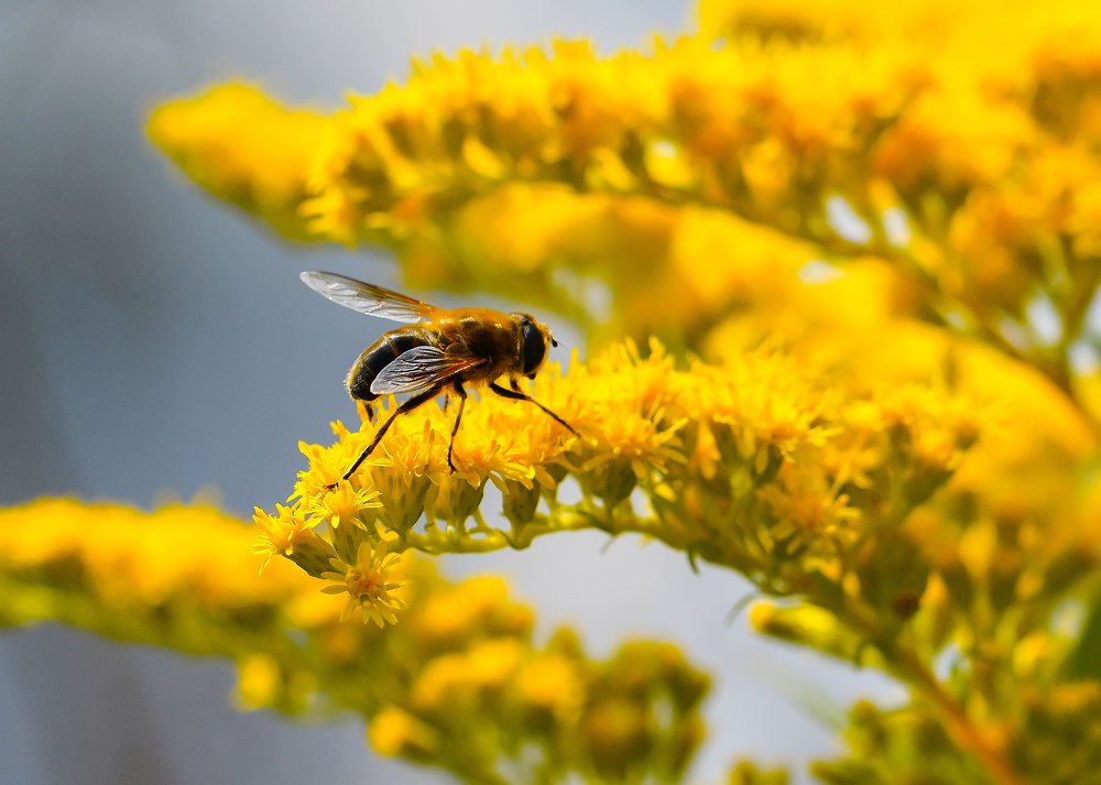 Photograph by Юрий Бичеров