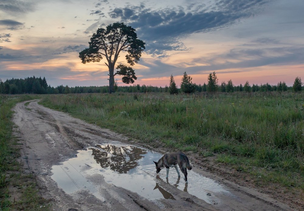 Photograph by Сергей Метелица