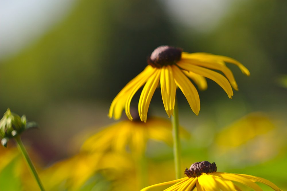 Photograph by Евгений Беленков