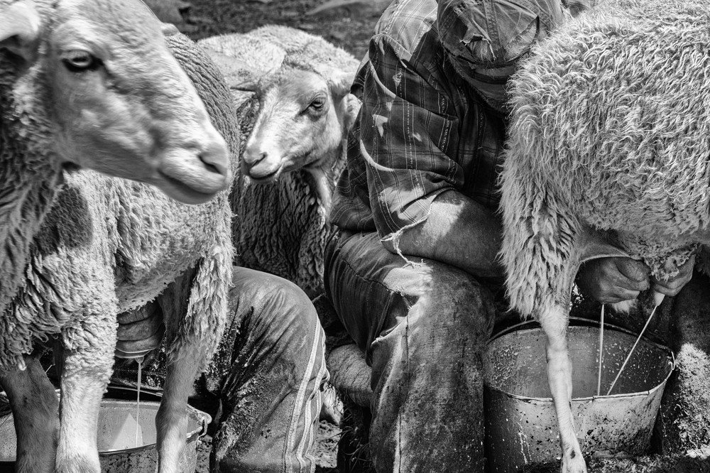 Photograph by Vladimir Sevrinovsky