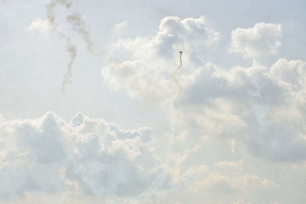 ПТИЧКА-НЕВЕЛИЧКА