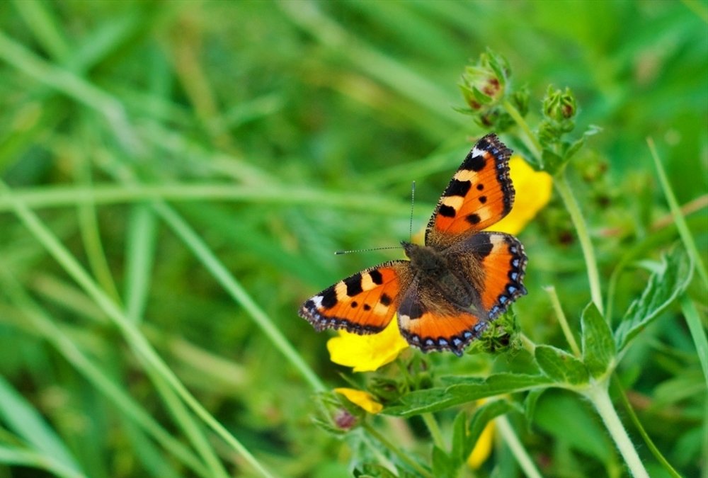 Photograph by Вячеслав Розмин