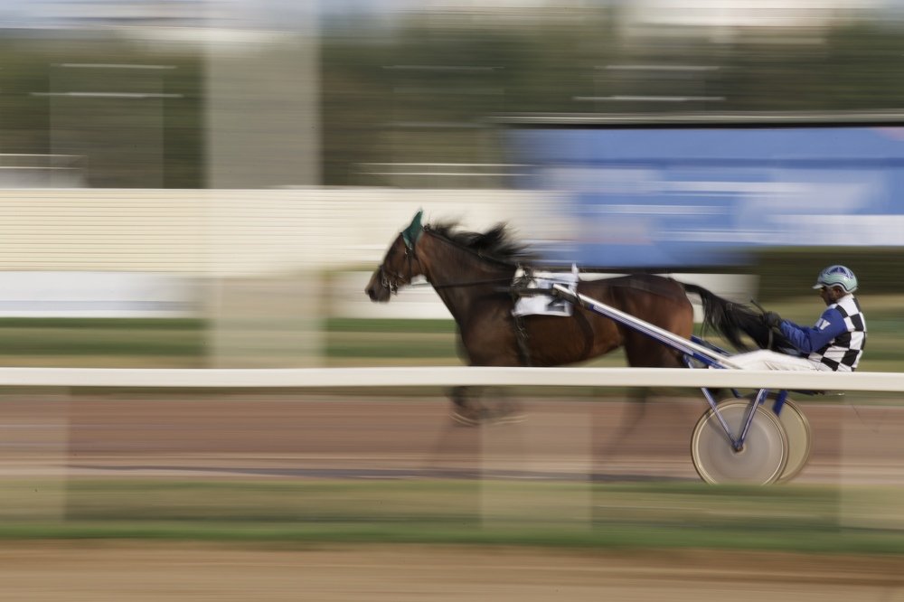 Photograph by Наталия Шибаева