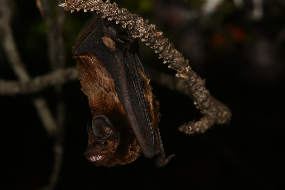 Photograph by Михаил Колтухов